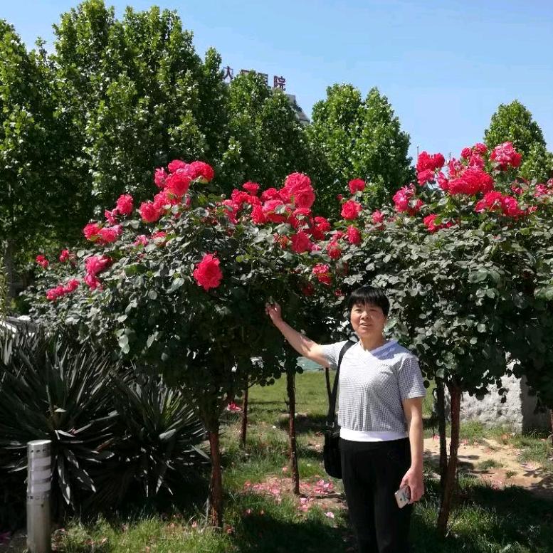 用户5997915135617秀丽