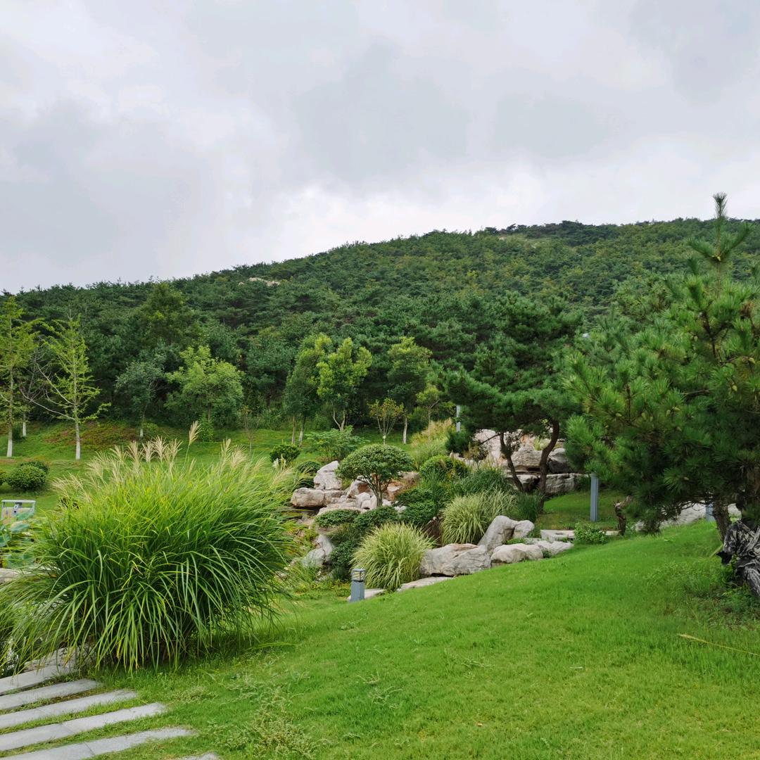 骏腾撸车（德国马牌）