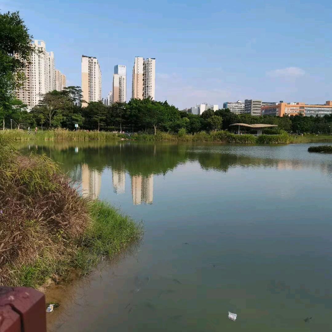 浪迹天涯