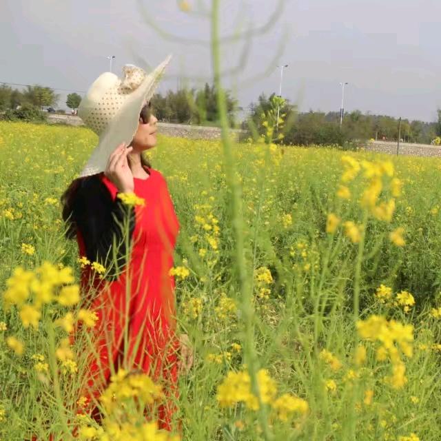 菲菲