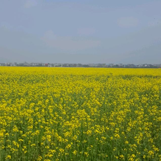 24H运行-恒城量-化大赛