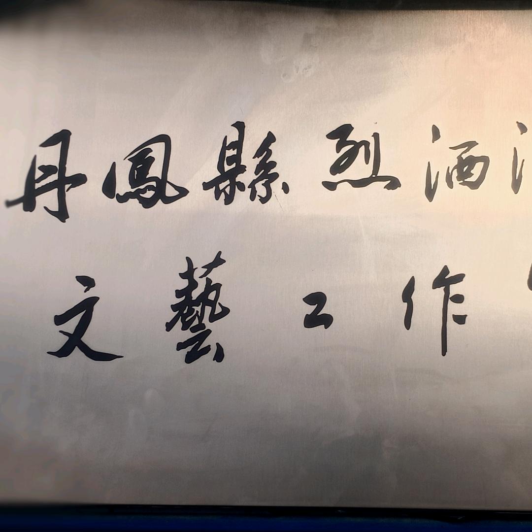 丹凤张杰正能量宣传员烈酒浪子文艺工作室