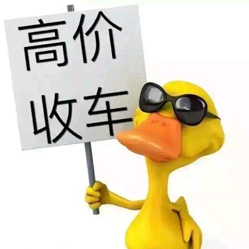 郑州骋云汽车销售有限公司