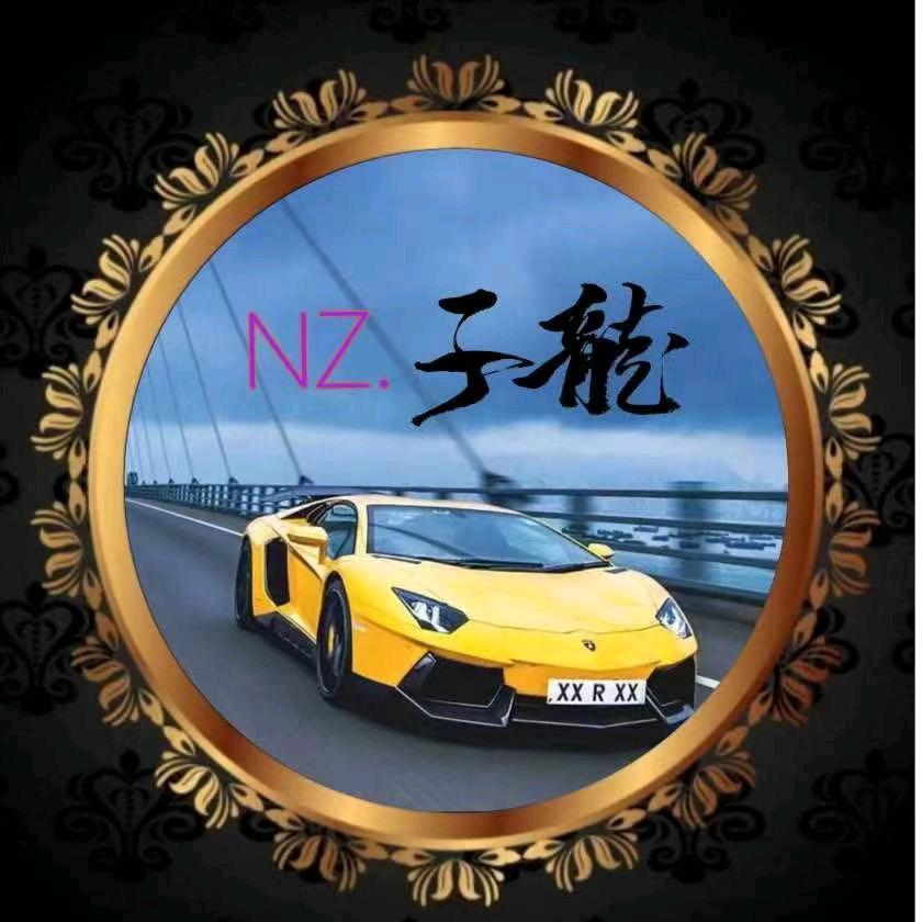 💫NZ.子龙✨