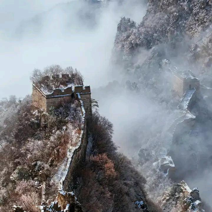 虎啸山林