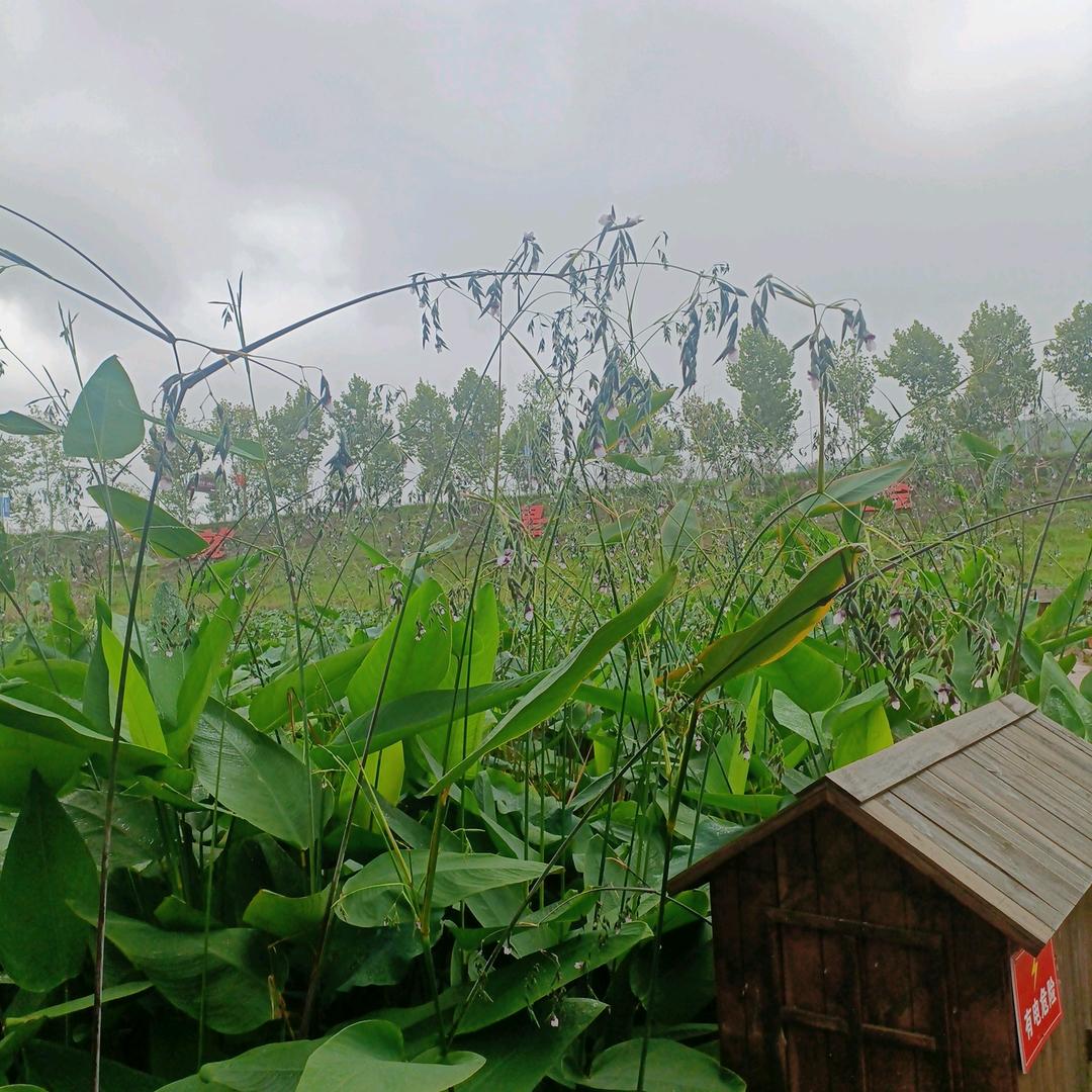 ༄༊࿆明月清风ོྂཾ࿆࿐