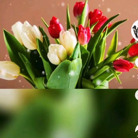 ℋღ᭄锦儿🍒᭄💞࿐