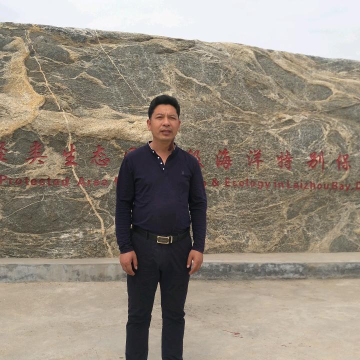 友爱光束yv