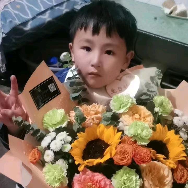 喜羊羊^O^