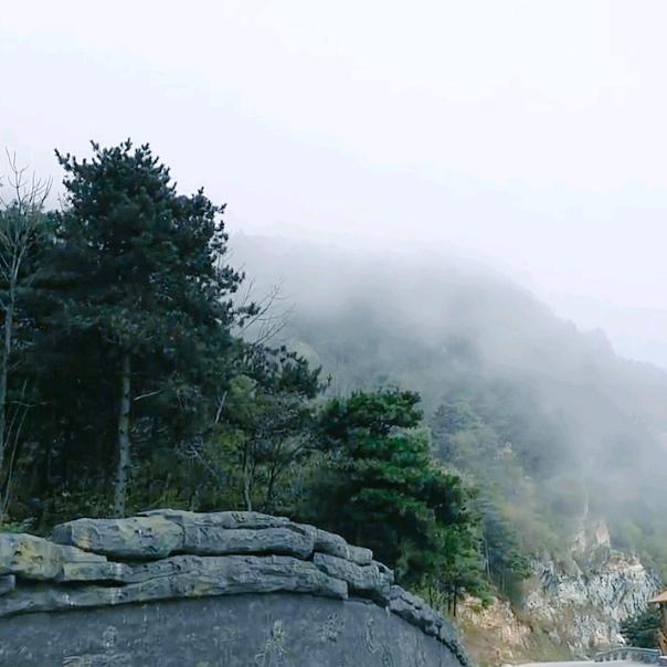 随遇而安