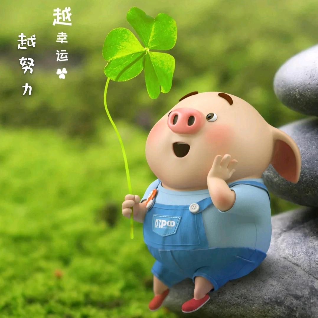一朵午荷123