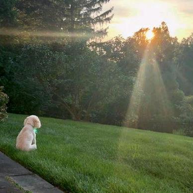 老婆让我下抖音