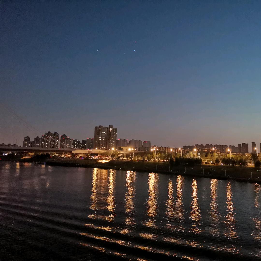 柏树林