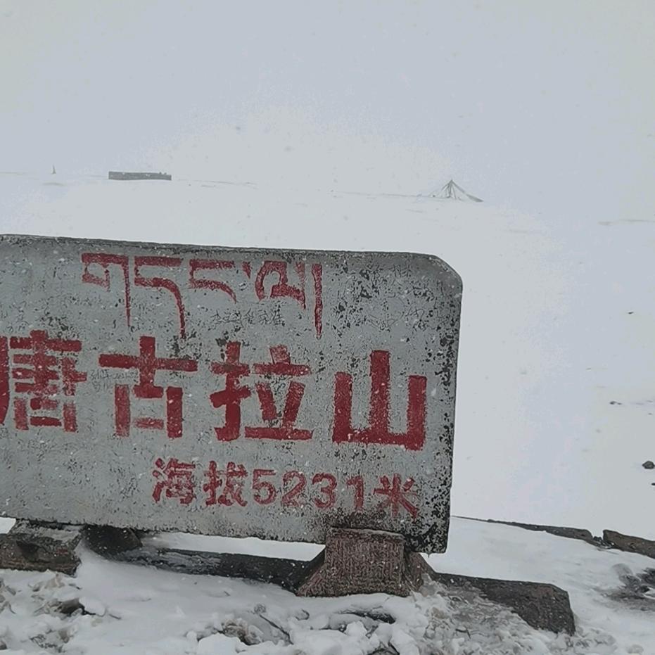 国茂彩板箱房