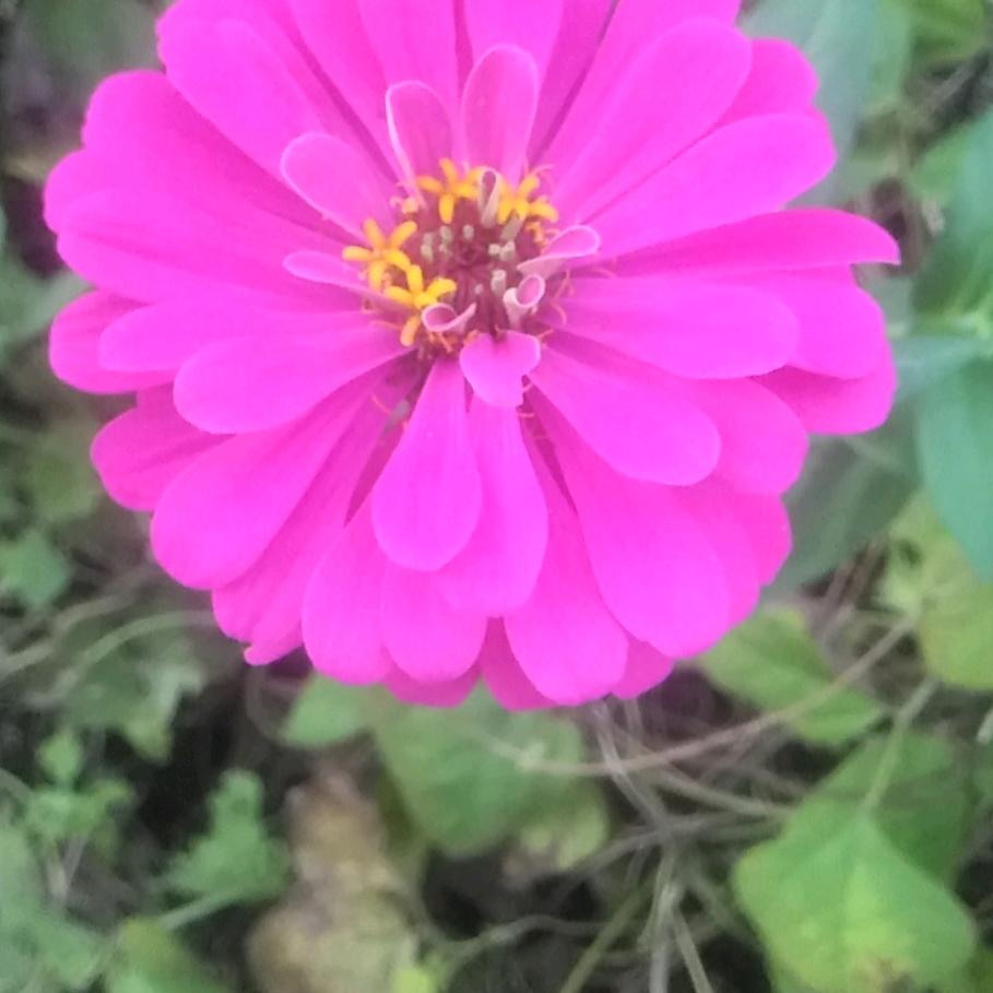 开心每一天 🌹🌴🌹