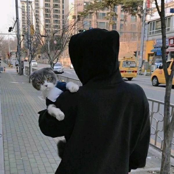 网抑云济南分云