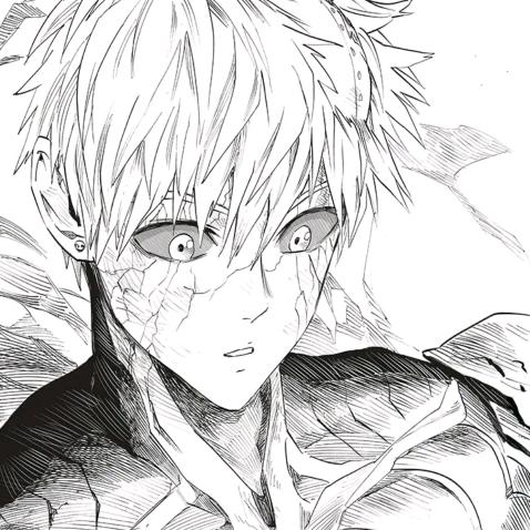 Mipg