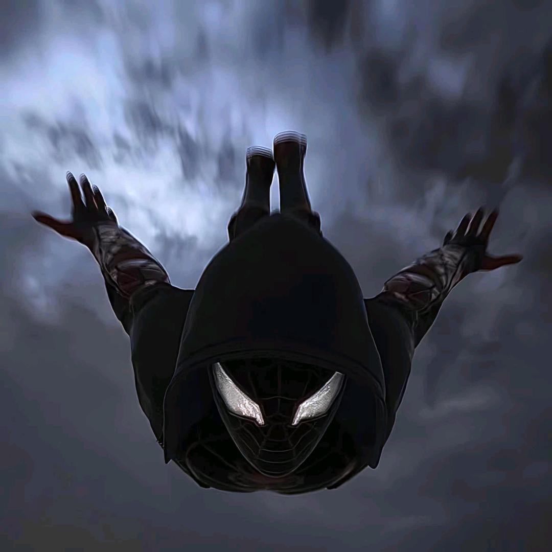 风是自由的，你也是。