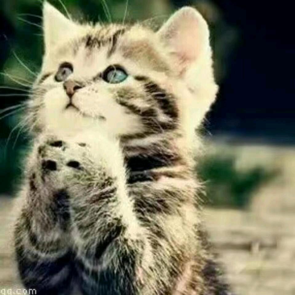 小永先生（尊师柳城哥）