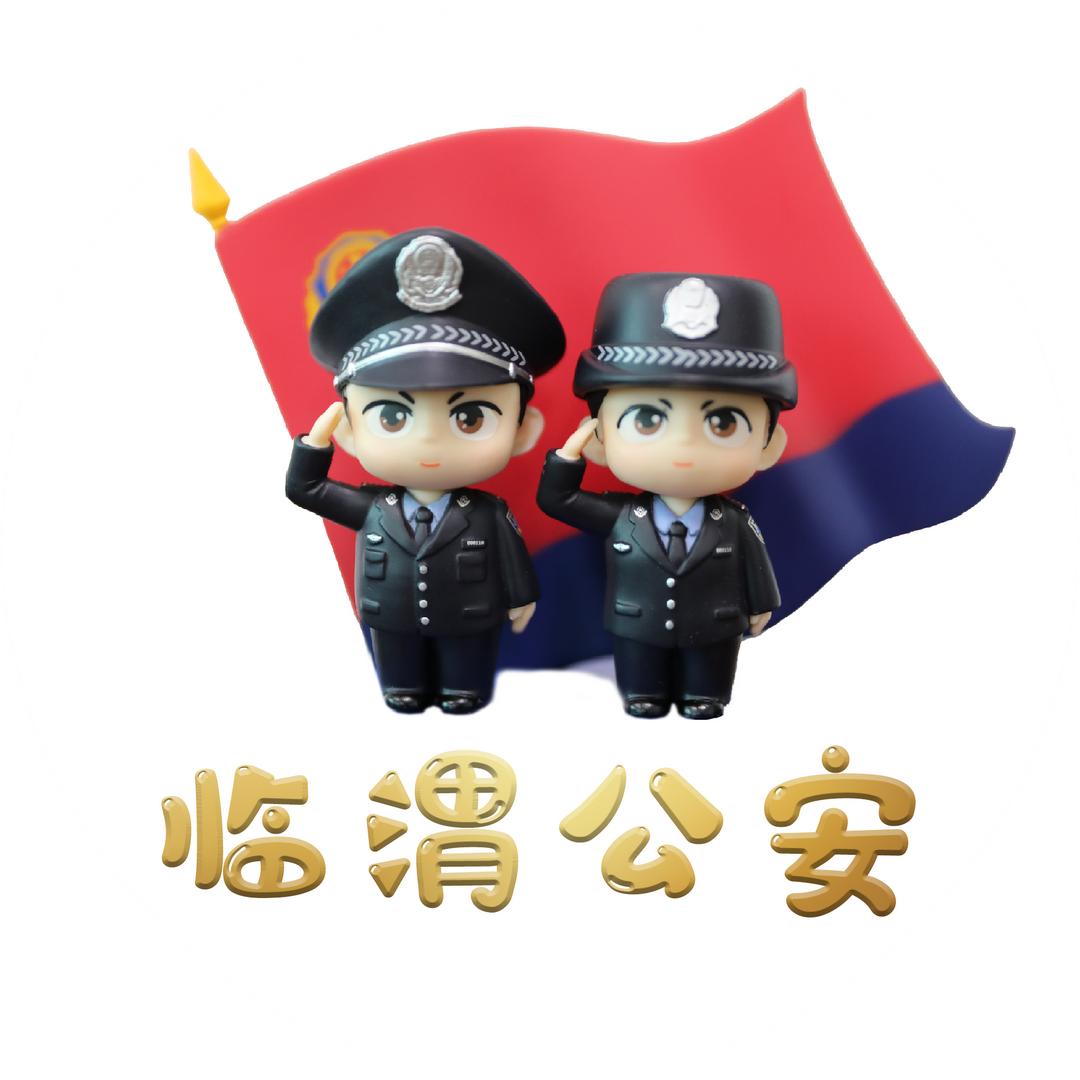 临渭公安