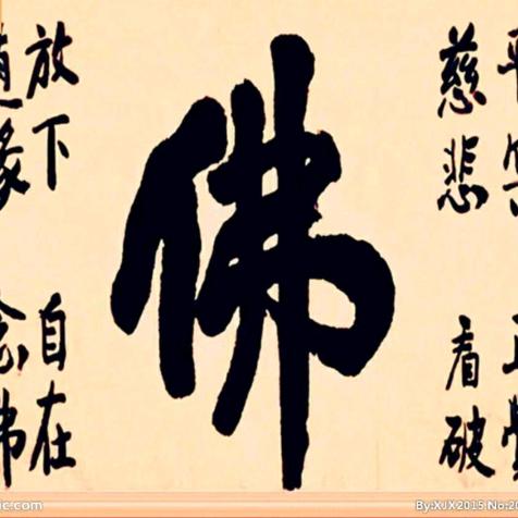 七星赛鸽液压