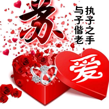 ꧁开心就好꧂