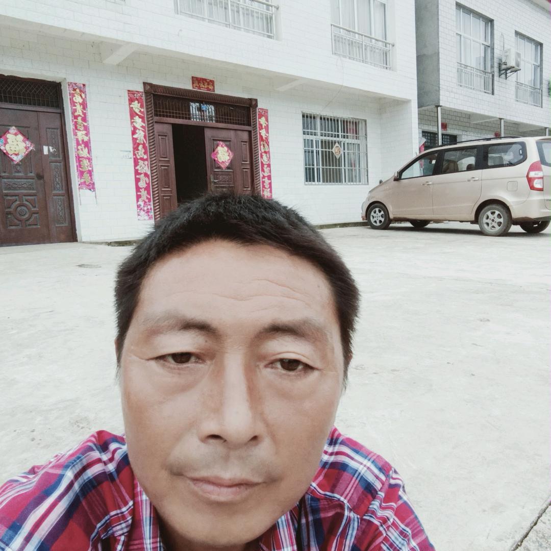 老冯