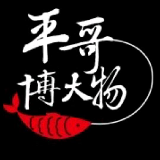 平哥钓大物...专供钓场颗粒小黄面钓箱