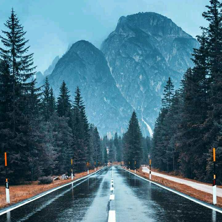 🇨🇳鹤羽🇨🇳