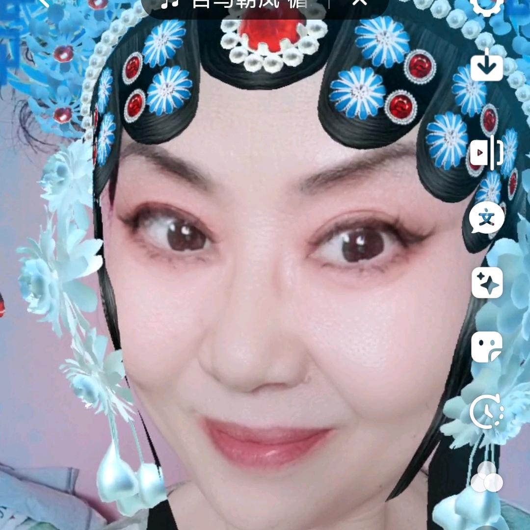 凤尾竹