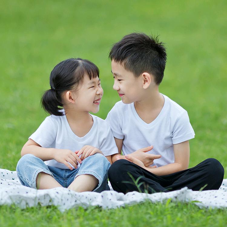 纸板艺术
