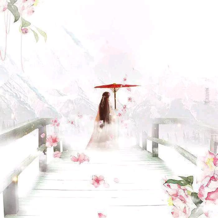 云琴