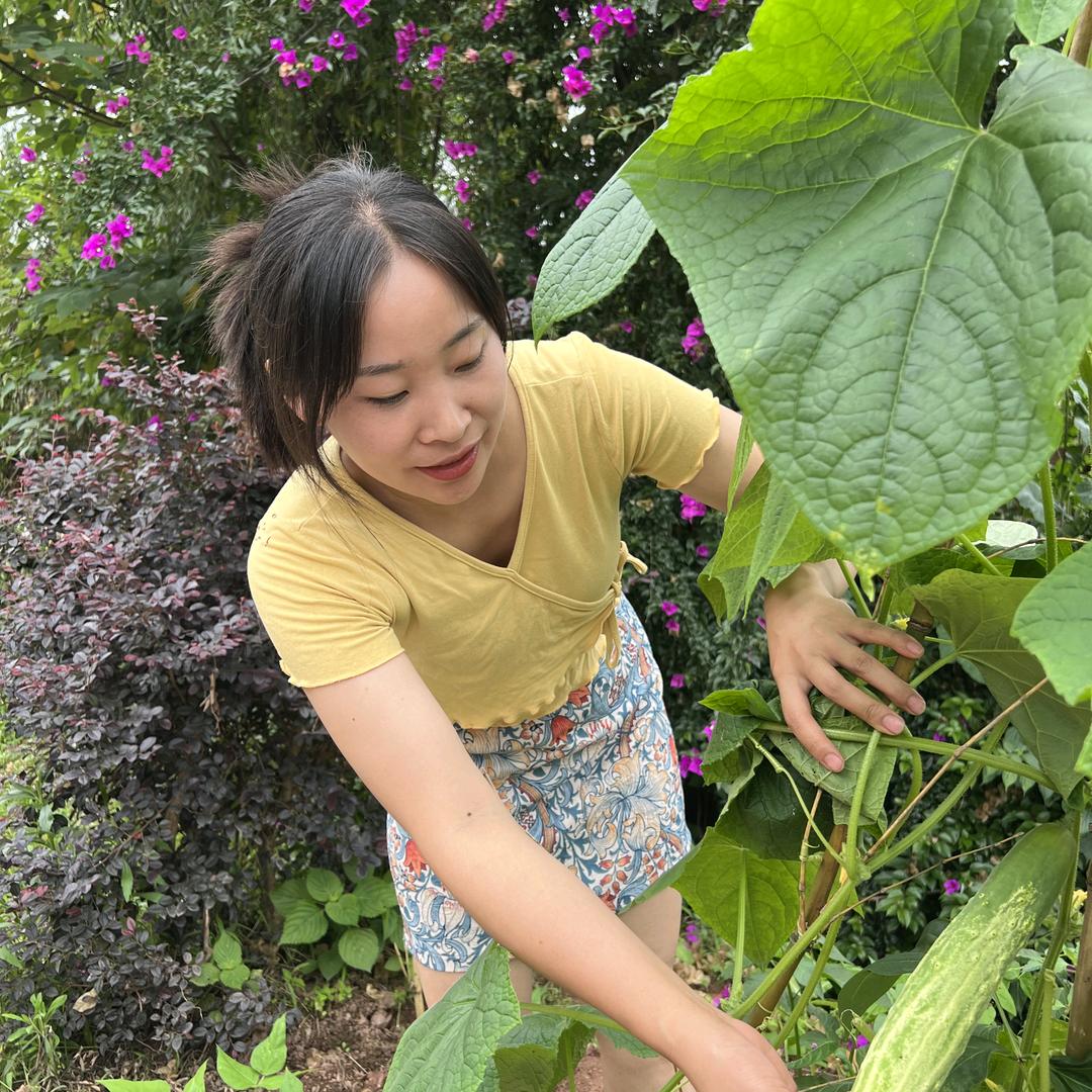 黄村范范