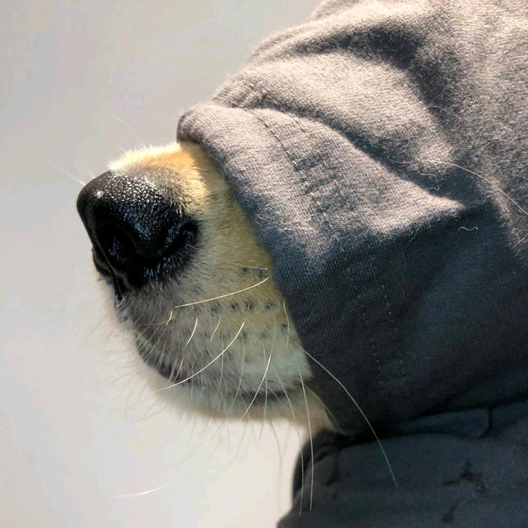 别慌