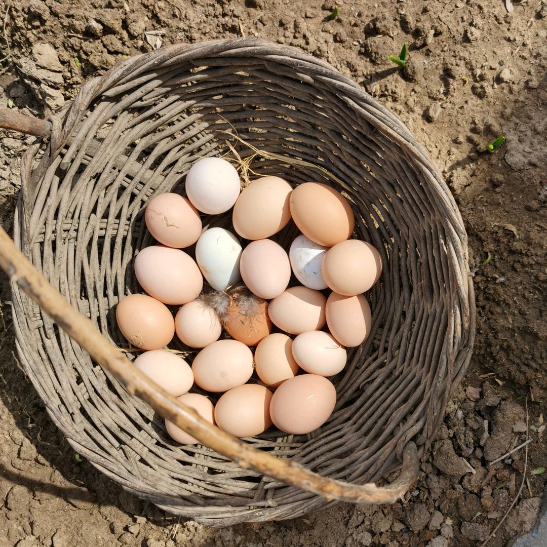 老七家农副产品