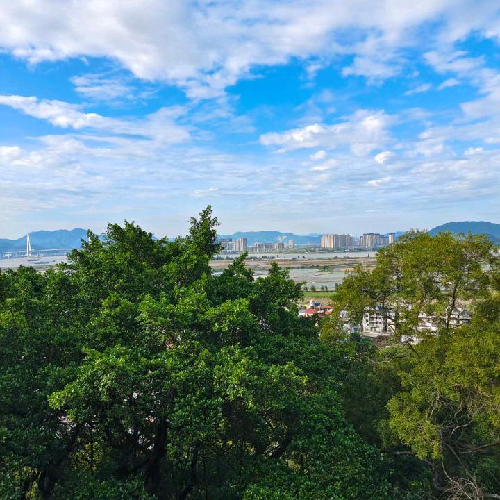 红子