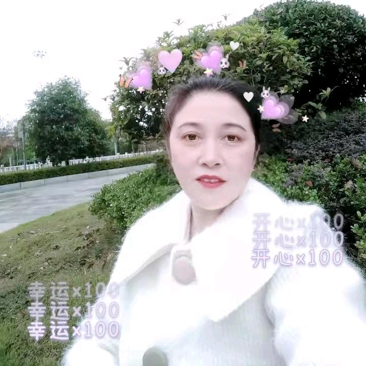 姜二姐大中小鸡批发加零售