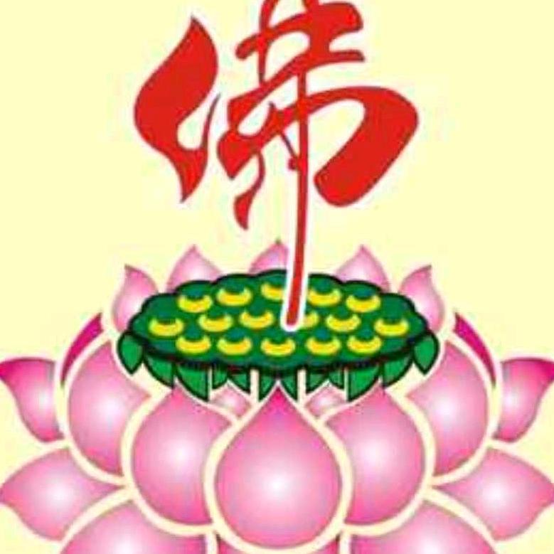 豆豆姐。