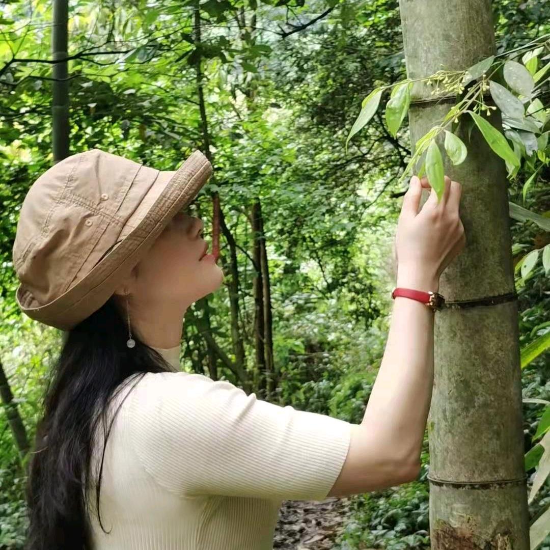 堇茶明月