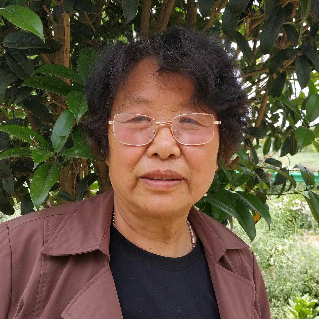 何素真