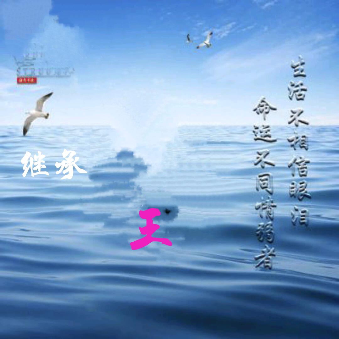 会飞的海