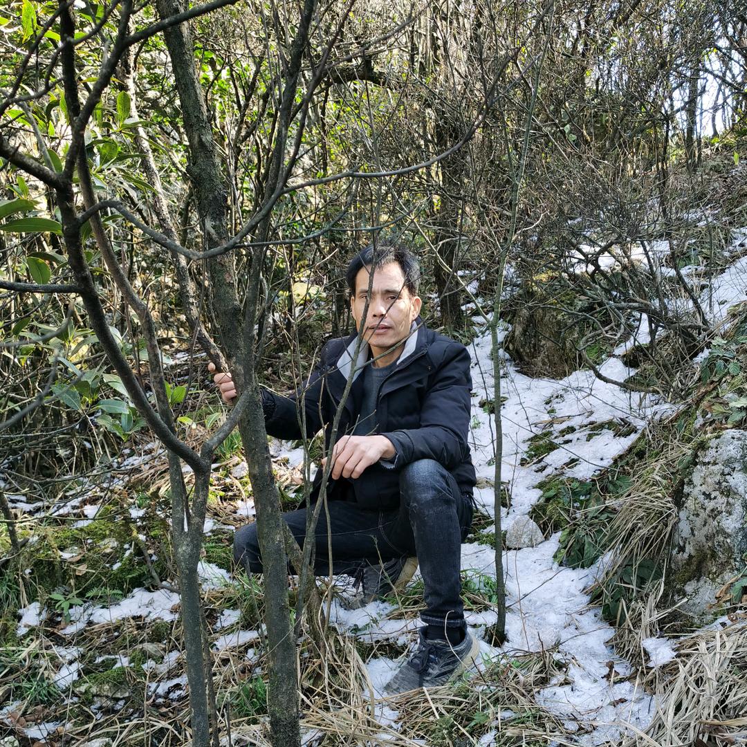 南方蒋氏蜜蜂养殖场