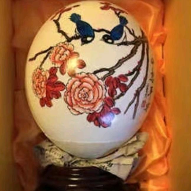 鸵鸟哥“不忘初心”