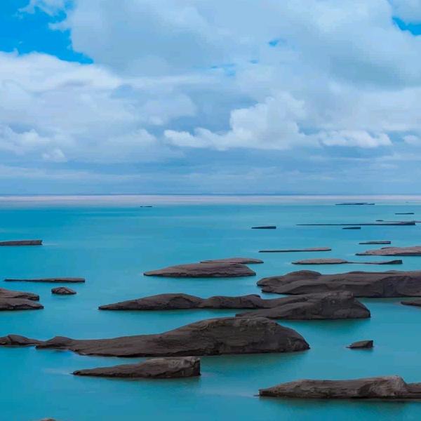 做自己最爱做的事