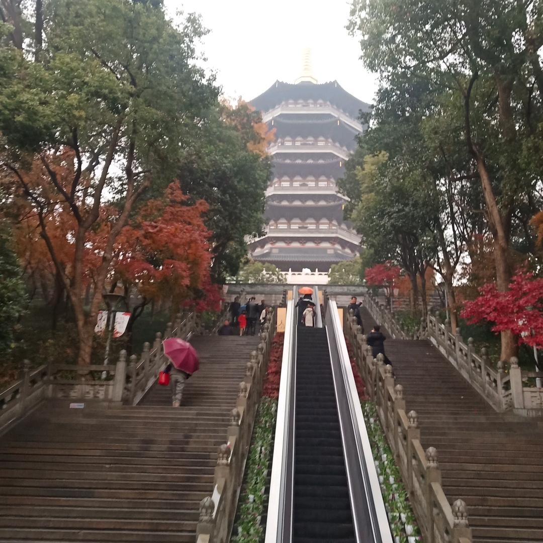 董哥谁懂我