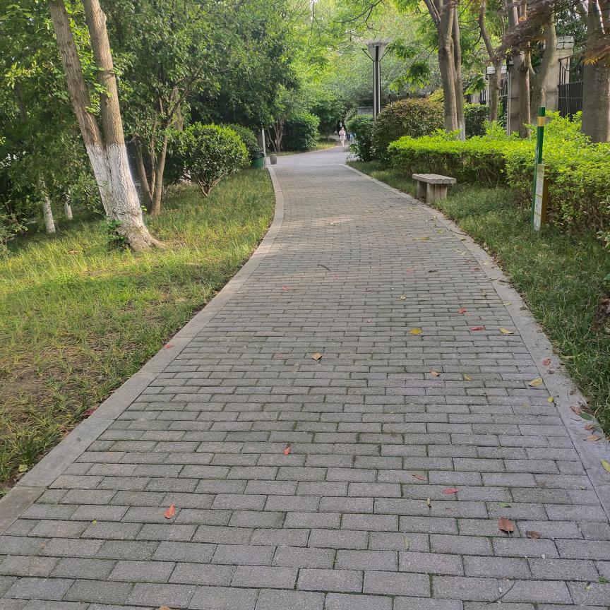 一生错爱，谁之过