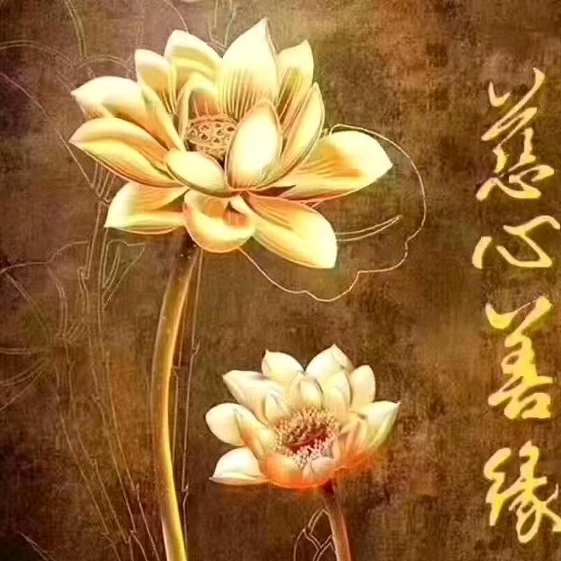 祖涵