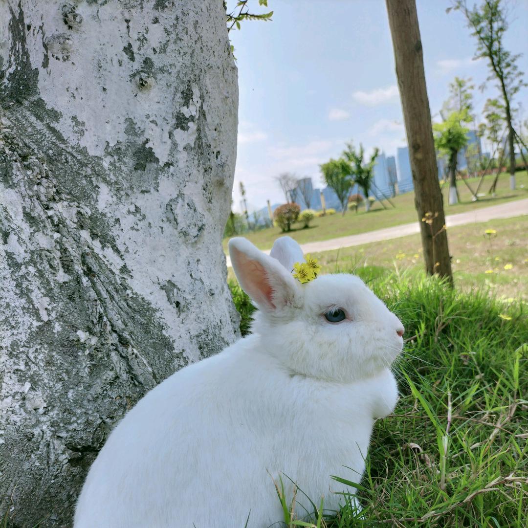 传送门