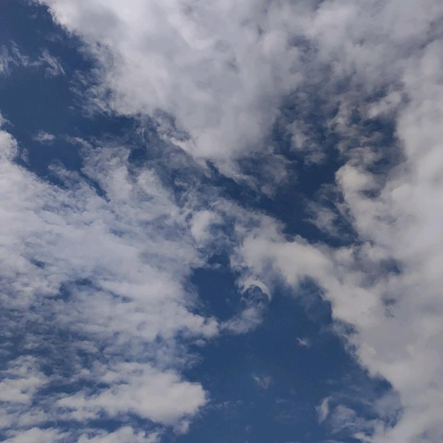 热心市民王先生　　　　　　　　　　　　╲