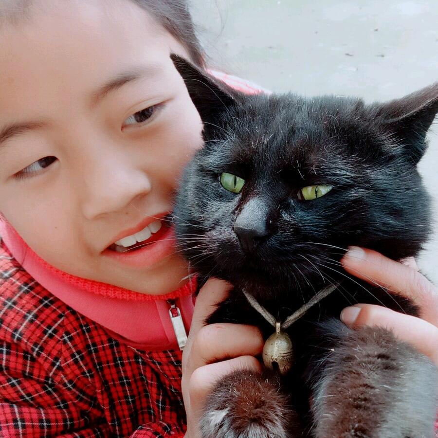 成财哥